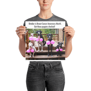 L O N G bois & the House Hippos Breast Cancer Awareness Poster