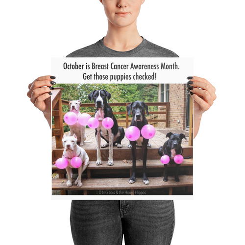 L O N G bois & the House Hippos Breast Cancer Awareness Poster